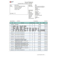 India Bandhan fake bank statement Word and PDF template, 2 pages