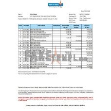 India Bank of India fake bank statement Word and PDF template