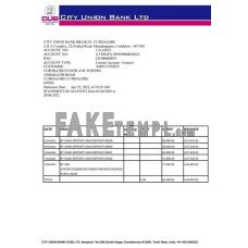 India City Union fake bank statement Word and PDF template