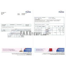 India Equitas fake bank statement Word and PDF template, 3 pages