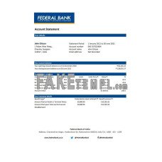 India Federal fake bank statement Excel and PDF template