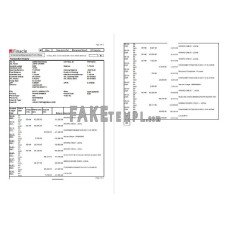 India Finacle fake bank statement Excel and PDF template (2 pages)