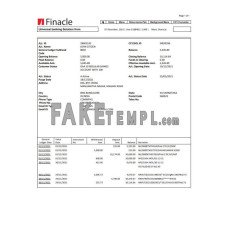 India Finacle fake bank statement Word and PDF template