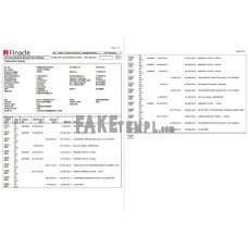 India Finacle fake bank statement Word and PDF template(2 pages)