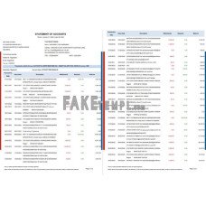 India HDFC fake bank statement Word and PDF template