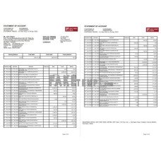 India IDFC fake bank statement Word and PDF template, 3 pages, version 2