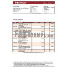 India IndusInd fake bank statement Word and PDF template