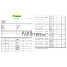 India KVB fake bank statement Word and PDF template, 2 pages