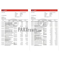 India Kotak Mahindra fake bank statement Word and PDF template, 2 pages