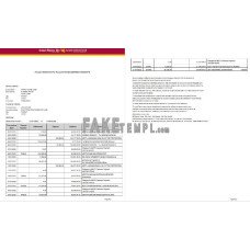 India Punjab National fake bank statement Word and PDF template, 2 pages, version 2