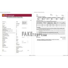 India Punjab National fake bank statement Word and PDF template, 2 pages