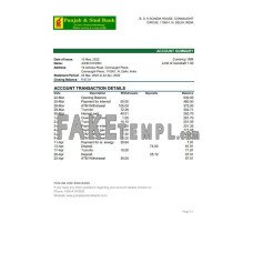 India Punjab and Sind fake bank statement Excel and PDF template