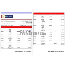 India RBB Smart fake bank statement Word and PDF template, 2 pages