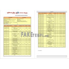 India Union Bank of India fake bank statement Word and PDF template, 2 pages