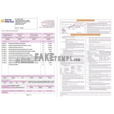 India Indian fake bank statement Word and PDF template, 2 pages