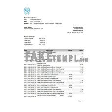 Iran Bank Sepah fake bank statement Excel and PDF template