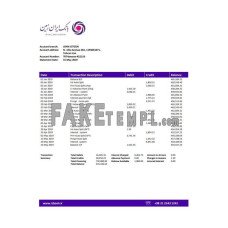 Iran Zamin fake bank statement Word and PDF template