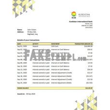 Iraq Kurdistan International fake bank statement Word and PDF template