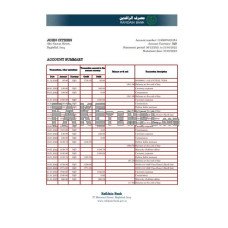 Iraq Rafidain fake bank statement Excel and PDF template