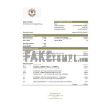 Iraq Rasheed fake bank statement Excel and PDF template