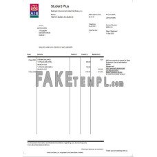 Ireland AIB fake bank statement Word and PDF template