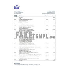 Ireland Bank of Ireland fake bank statement Excel and PDF template