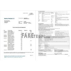 Ireland Bank of Ireland fake bank statement Word and PDF template, 2 pages