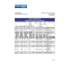 Israel Leumi fake bank statement Excel and PDF template