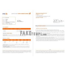 Italy ING fake bank statement Word and PDF template, 2 pages