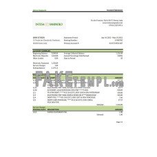 Italy Intesa Sanpaolo fake bank statement Excel and PDF template