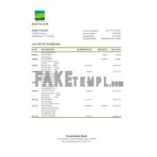 Japan Norinchukin fake bank statement Excel and PDF template