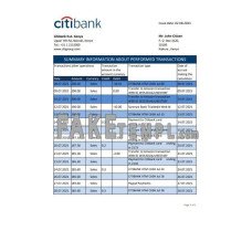 Kenya Citibank fake bank statement Excel and PDF template