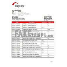 Kuwait Boubyan fake bank statement Word and PDF template