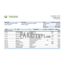 Kyrgyzstan Commercial fake bank statement Excel and PDF template