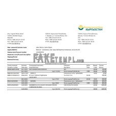 Kyrgyzstan Kirgizbank fake bank statement Excel and PDF template