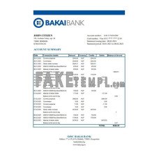 Kyrgyzstan OJSC Bakai fake bank statement Excel and PDF template