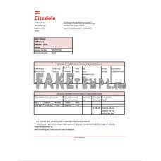 Latvia Citadele fake bank statement Excel and PDF template