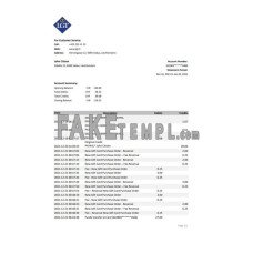 Liechtenstein LGT fake bank statement Excel and PDF template