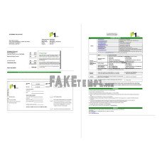 Malaysia Packet 1 Network fake bank statement Word and PDF template(3 pages)