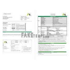 Malaysia Packet 1 Network fake bank statement Excel and PDF template (3 pages)