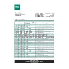 Maldives HBL fake bank statement Excel and PDF template