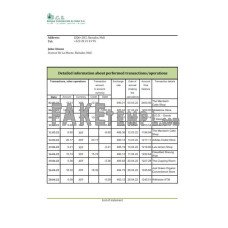 Mali Banque Commerciale du Sahel fake bank statement Excel and PDF template