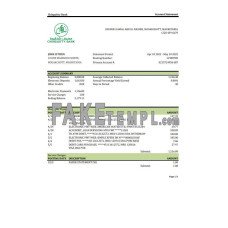 Mauritania Chinguitty fake bank statement Excel and PDF template