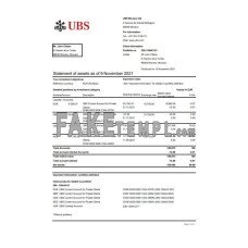 Monaco UBS fake bank statement Excel and PDF template