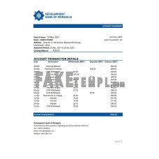 Mongolia Development Bank of Mongolia fake bank statement Excel and PDF template