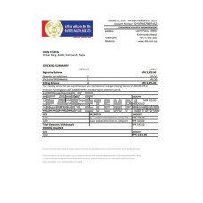 Nepal Rastriya Banijya fake bank statement Excel and PDF template