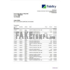 Nigeria Fidelity fake bank statement Word and PDF template