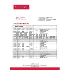 Norway Bank Norwegian AS fake bank statement Word and PDF template