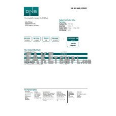 Norway DNB fake bank statement Excel and PDF template