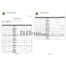 Pakistan Bank Al Habib fake bank statement Word and PDF template, 2 pages